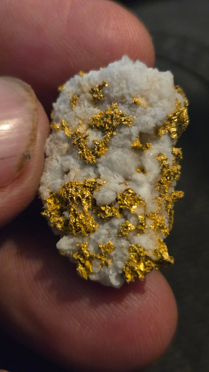 Self collected 16.42 grams gold and quartz from Californias Motherlode Vein