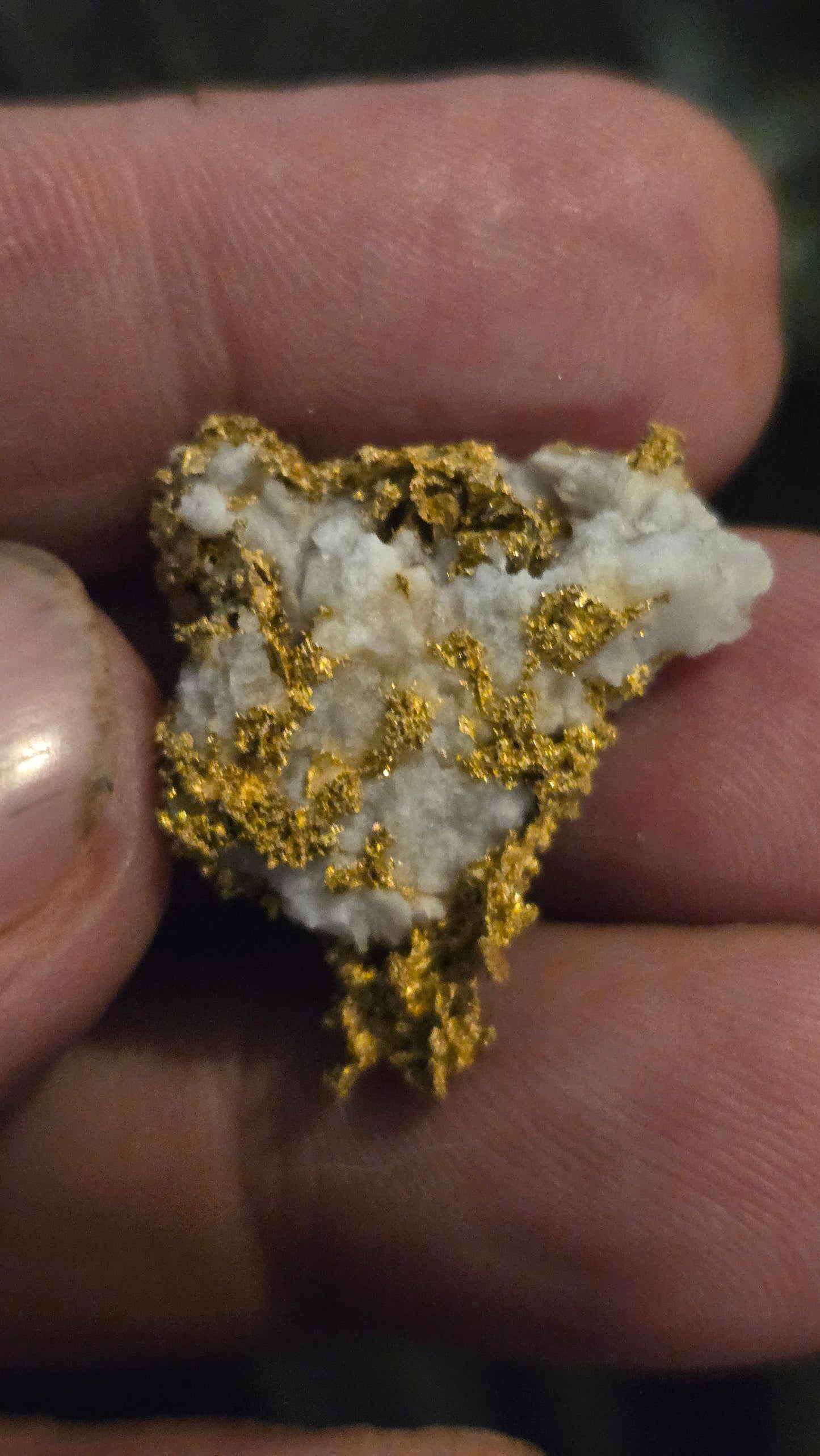 Self collected 9.35 grams gold and quartz from Californias Motherlode Vein