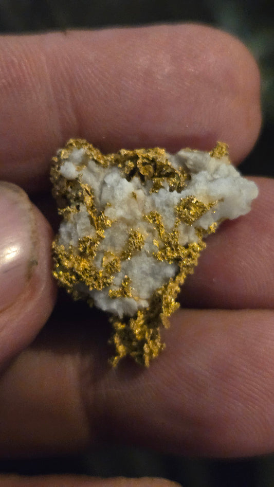 Self collected 9.35 grams gold and quartz from Californias Motherlode Vein