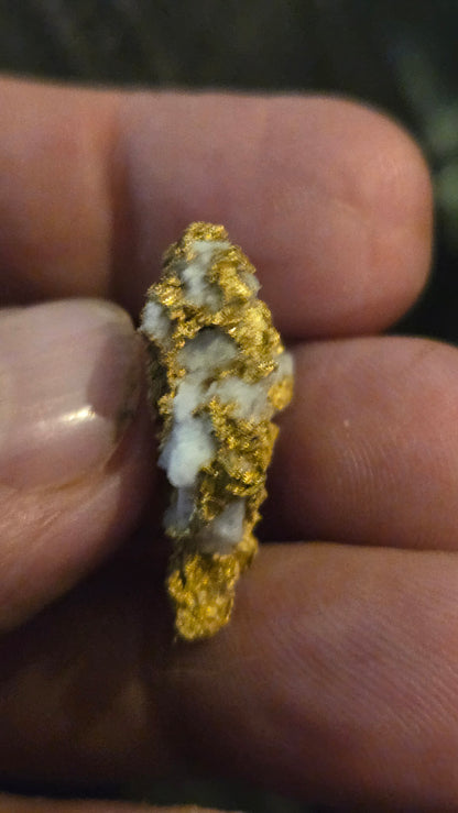 Self collected 9.35 grams gold and quartz from Californias Motherlode Vein