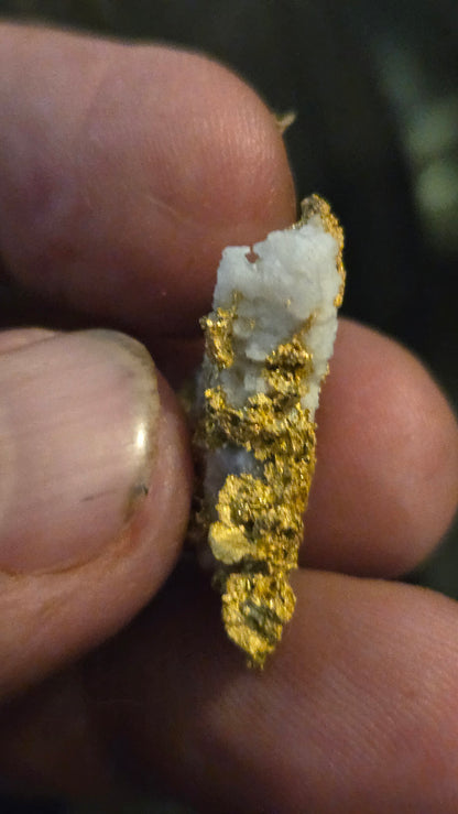 Self collected 9.35 grams gold and quartz from Californias Motherlode Vein
