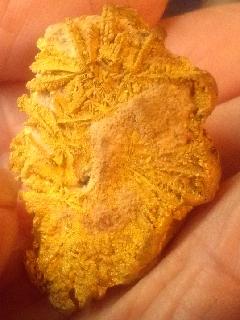 Central Nevada super chunky paydirt. Bigger gold! 5 grams