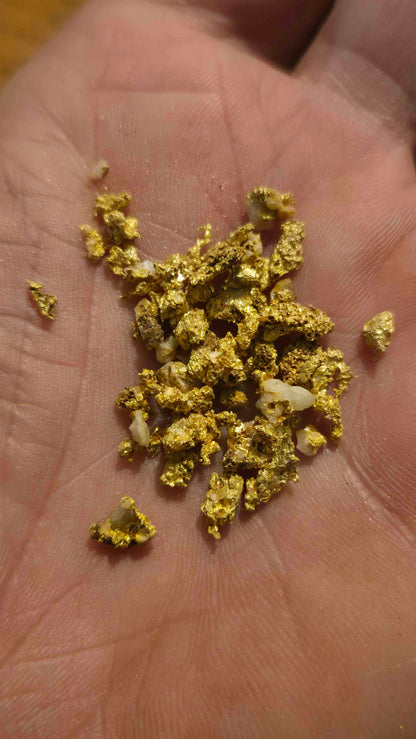 Mount Bullion Mariposa Hard Rock Paydirt - 1 gram coarse hardrock gold added