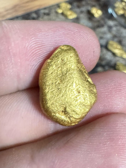 HIgh purity Mexican Gold nugget - 12.69 grams - 97.13% pure