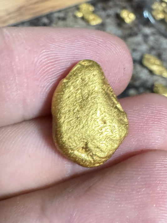 HIgh purity Mexican Gold nugget - 12.69 grams - 97.13% pure