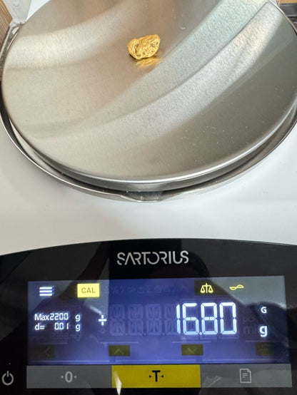 HIgh purity Mexican Gold nugget - 16.80 grams - 98.66 pure - DENSE!