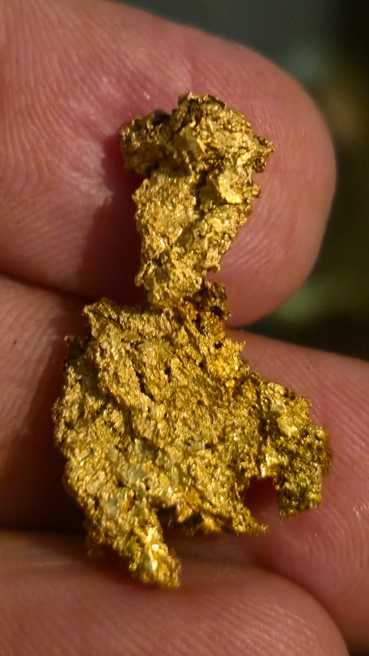 Museum-Quality Calaveras Crystalline Leaf Gold - 10.71 Gram Specimen