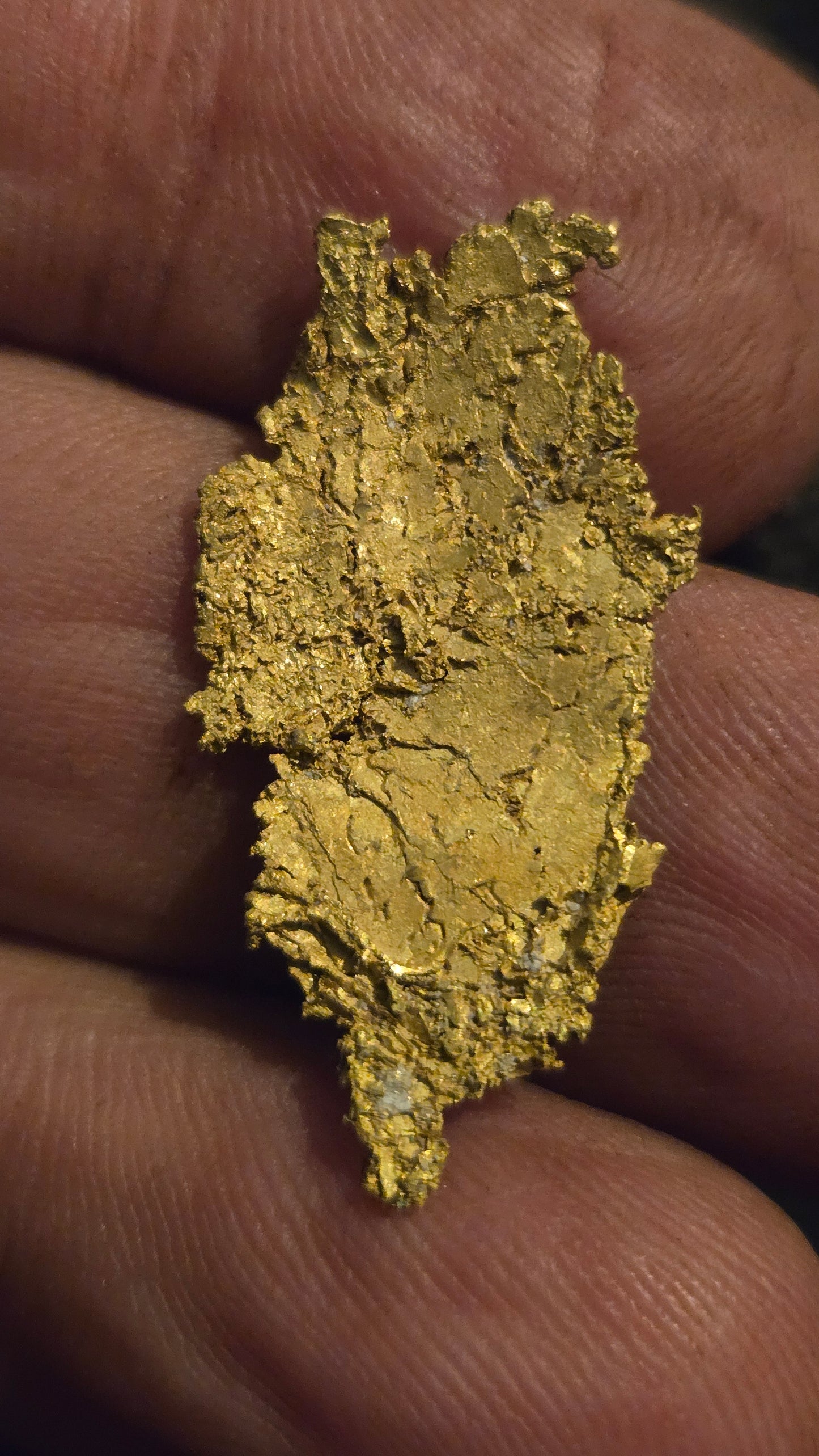 Museum-Quality Calaveras Crystalline Leaf Gold - 2.75 Gram Specimen