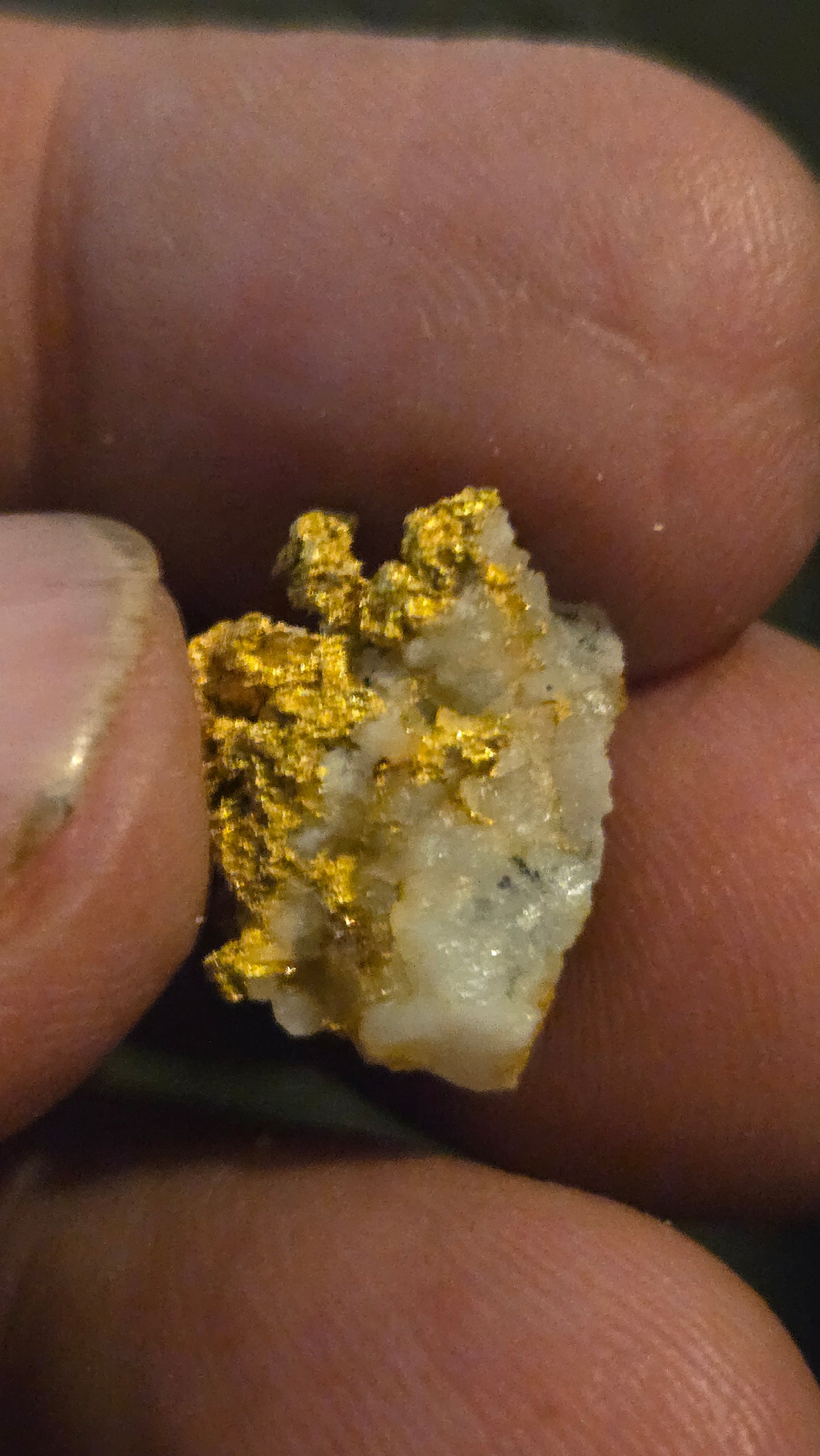 Self collected 4.39 grams gold and quartz from Californias Motherlode Vein