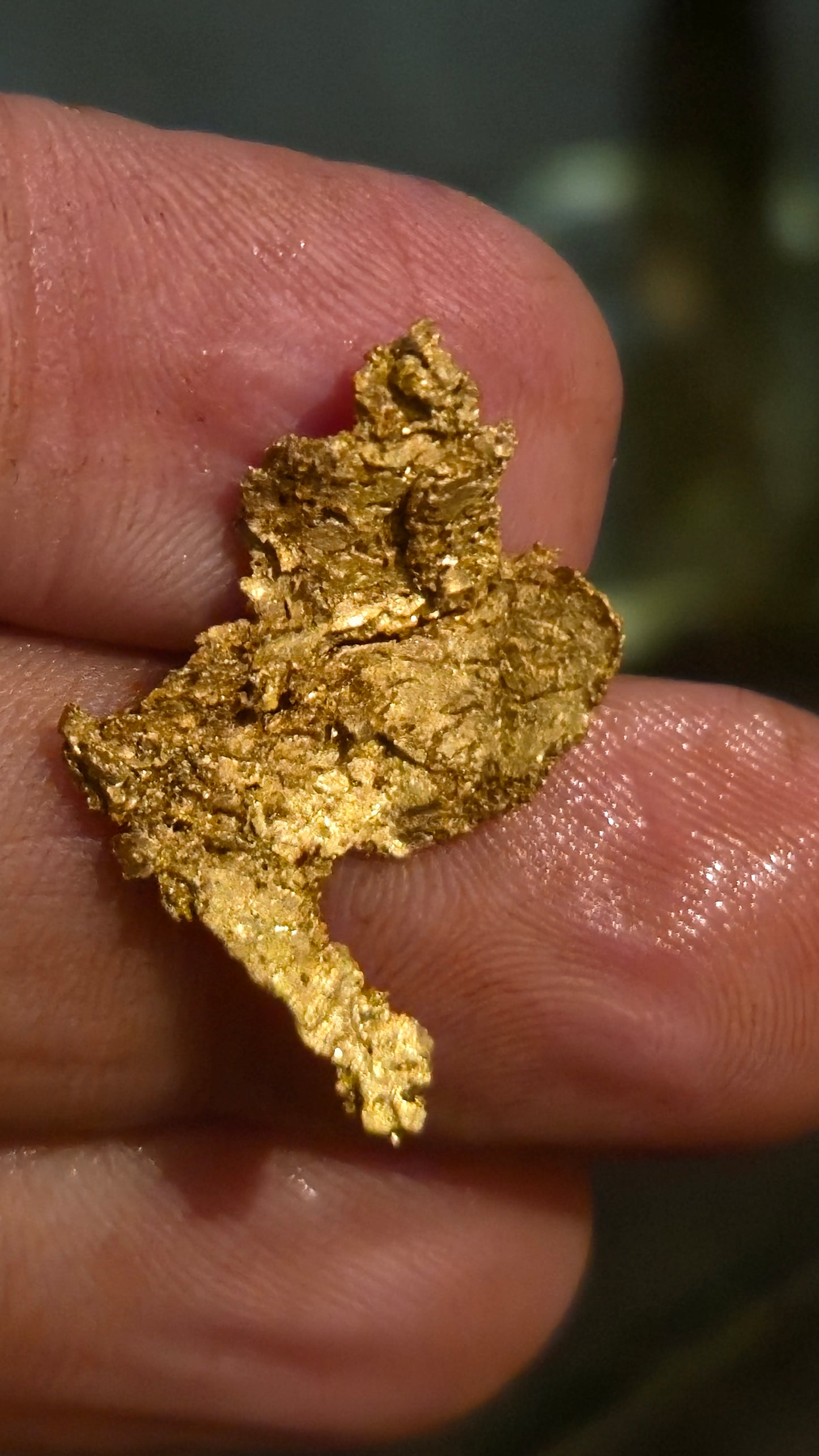 Museum-Quality Calaveras Crystalline Leaf Gold - 2.76 Gram Specimen
