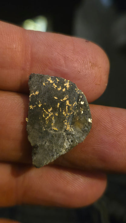 Oregon Gold-in-Quartz Slab - Chemically Enhanced Black Matrix 2.78 grams