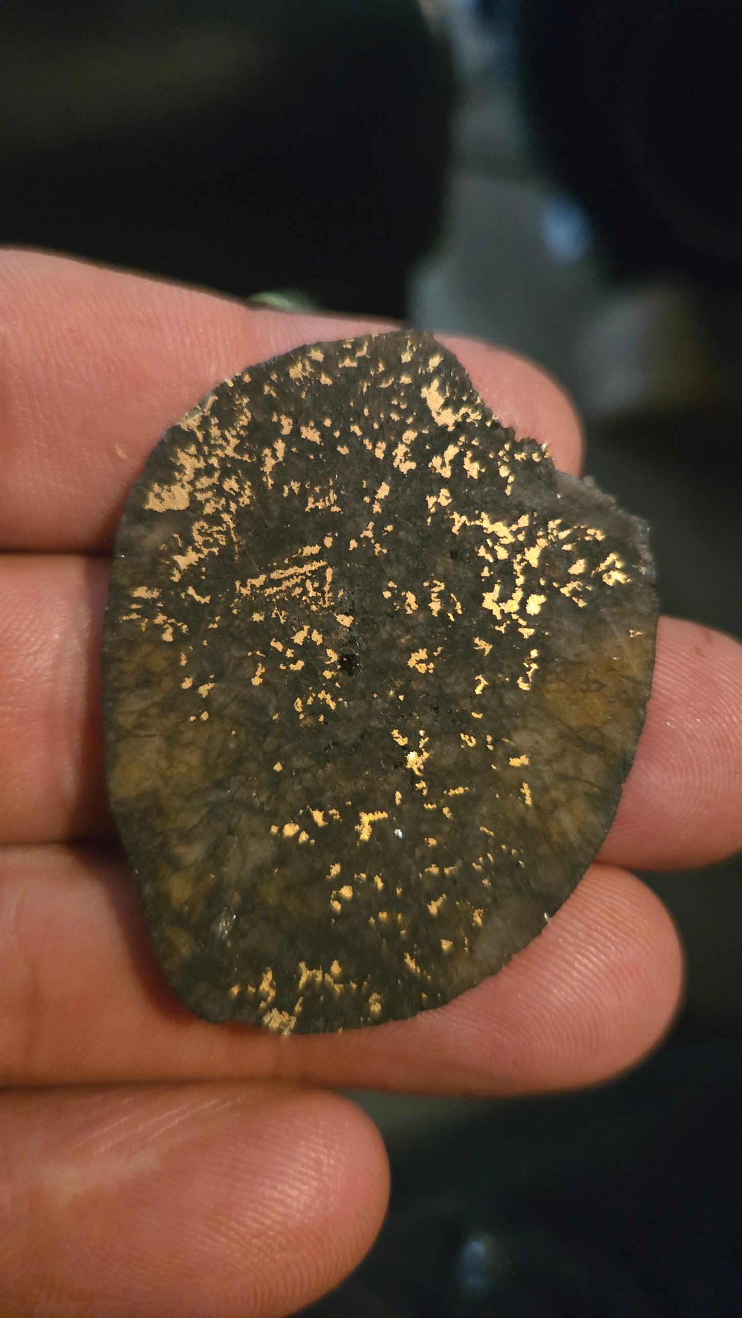 Oregon Gold-in-Quartz Slab - Chemically Enhanced Black Matrix 13.69 grams