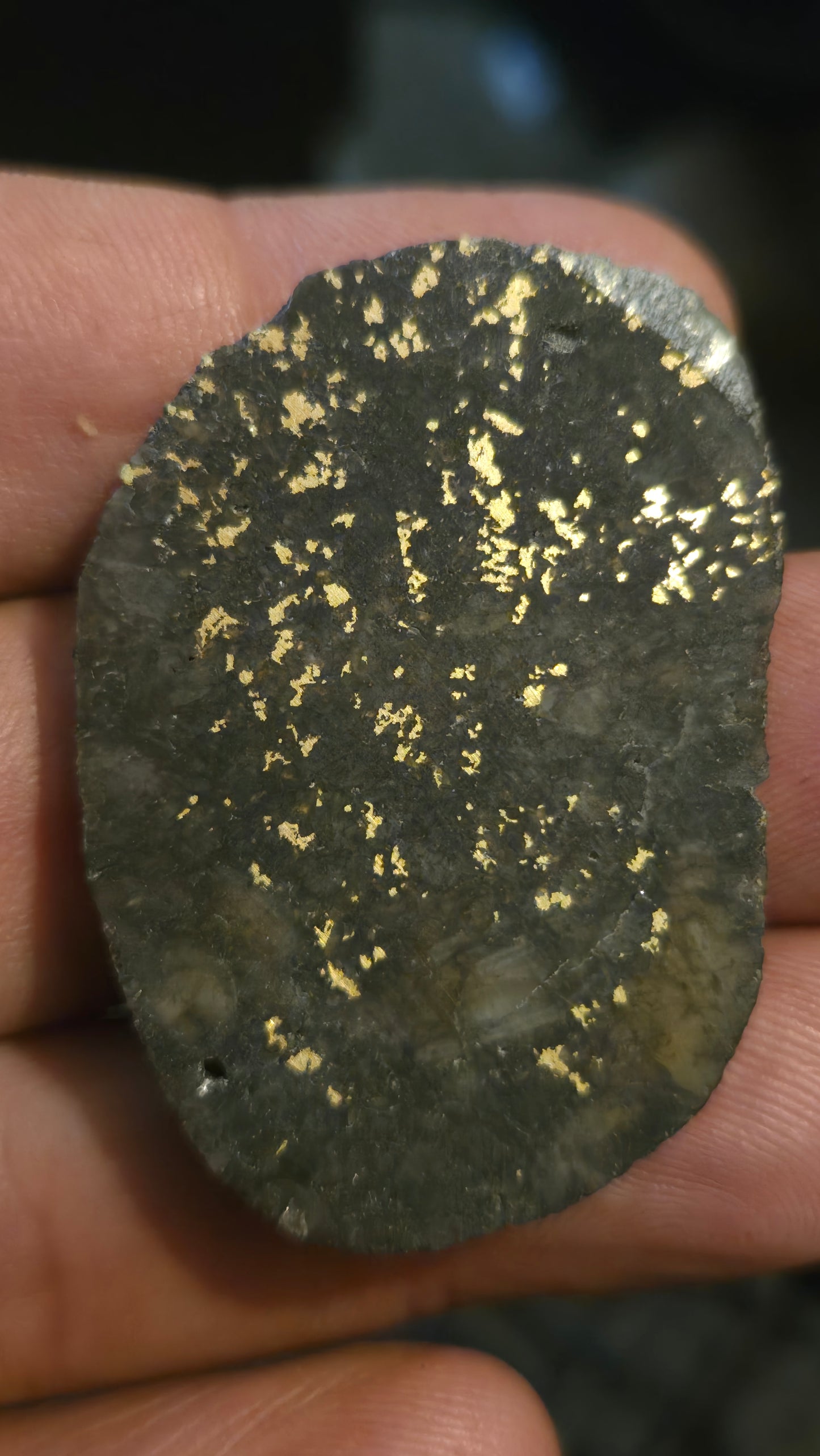 Oregon Gold-in-Quartz Slab - Chemically Enhanced Black Matrix 15.77 grams