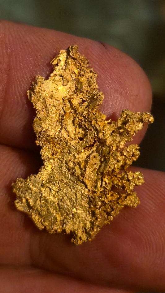 Museum-Quality Calaveras Crystalline Leaf Gold - 4.40 Gram Specimen