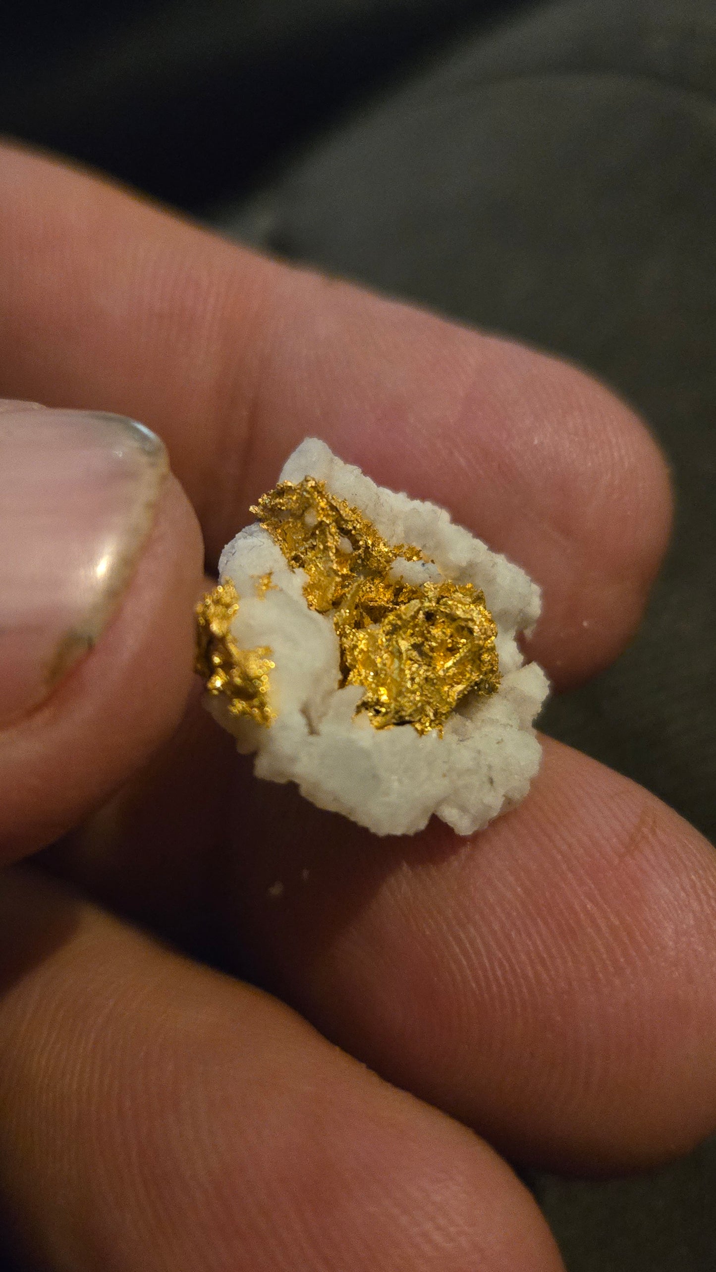Self collected 4.71 grams gold and quartz from Californias Motherlode Vein
