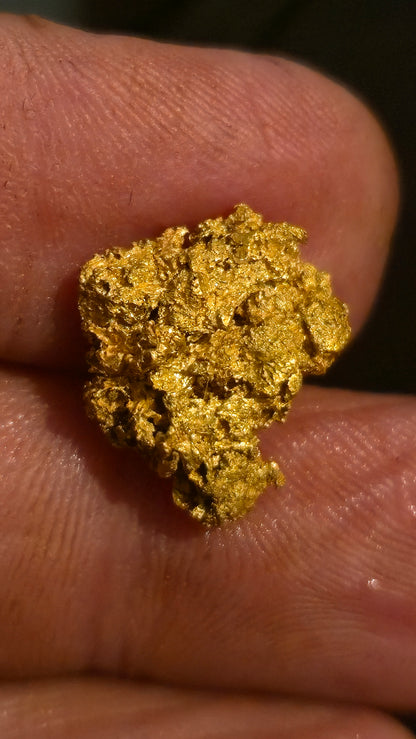 Museum-Quality Calaveras Crystalline Leaf Gold - 4.88 Gram Specimen