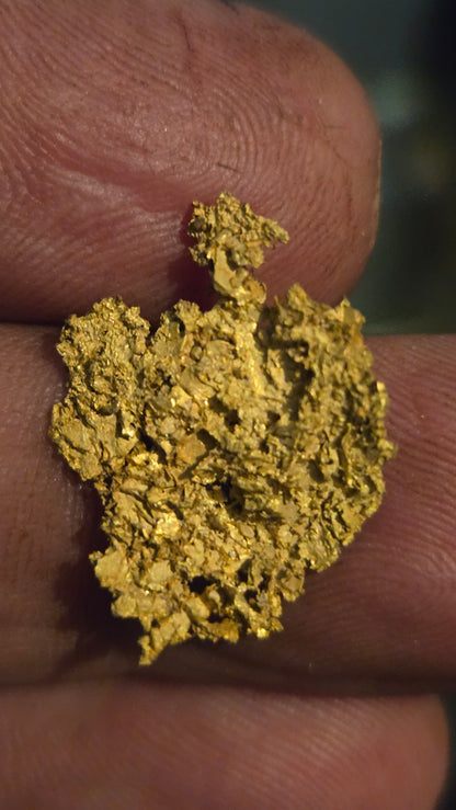 Museum-Quality Calaveras Crystalline Leaf Gold - 2.16 Gram Specimen