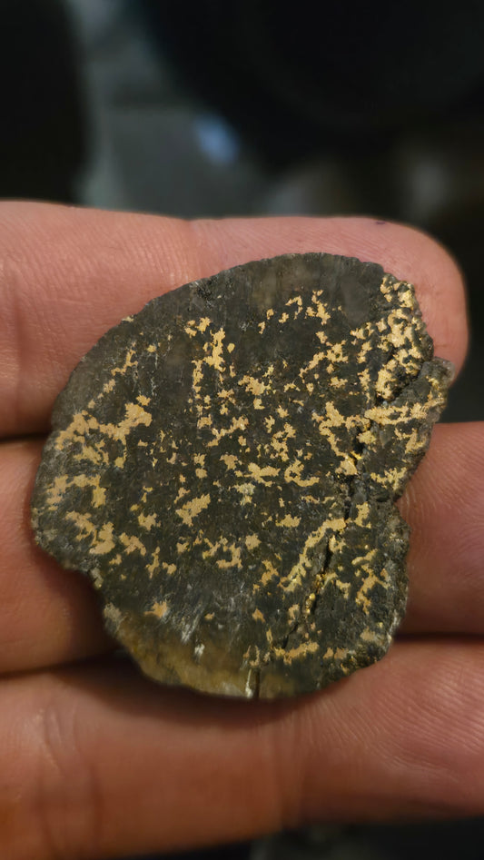Oregon Gold-in-Quartz Slab - Chemically Enhanced Black Matrix 12.50 grams