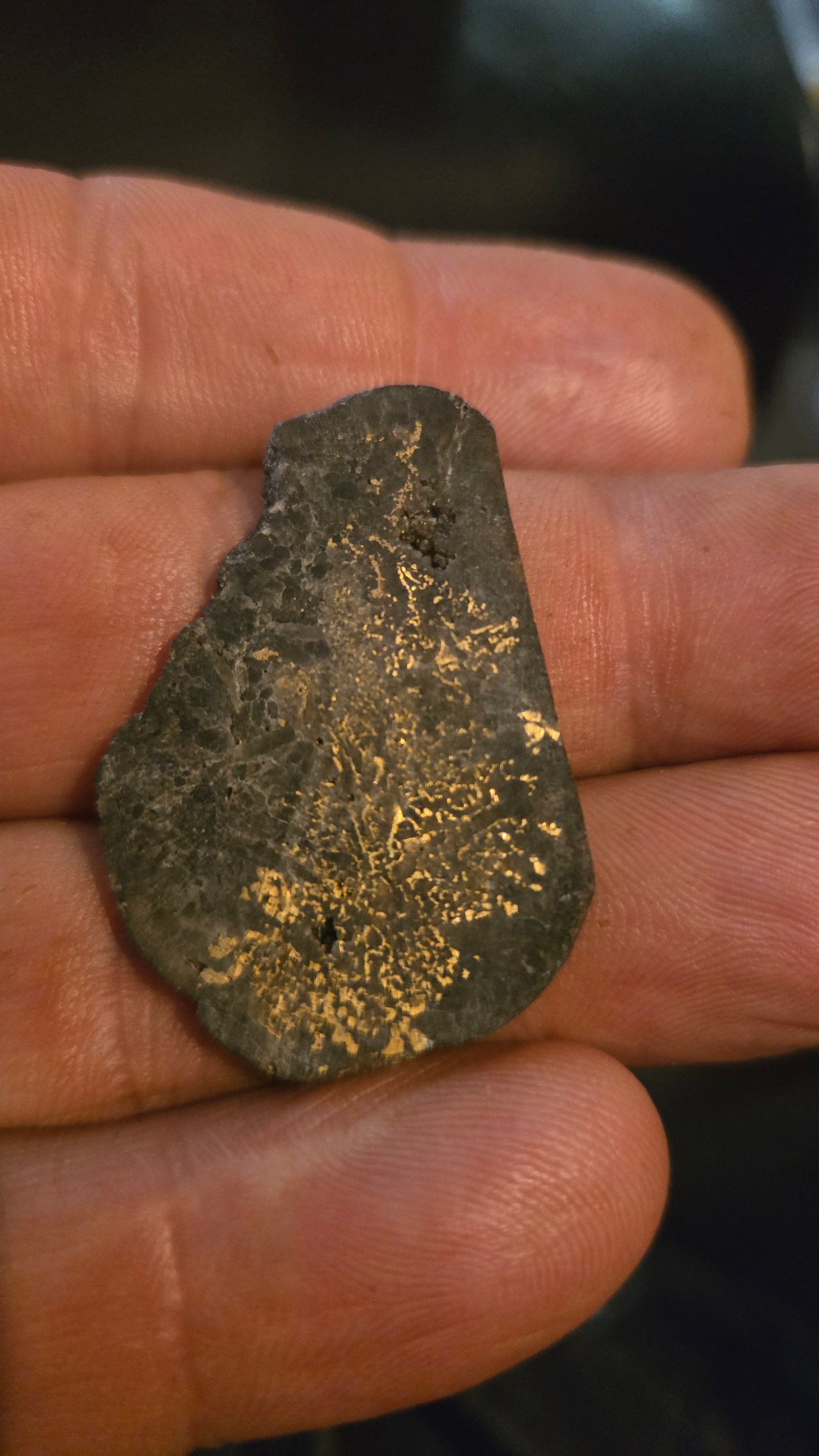 Natural Oregon Gold-in-Quartz Slab - Chemically Enhanced Black Matrix 5.74 grams
