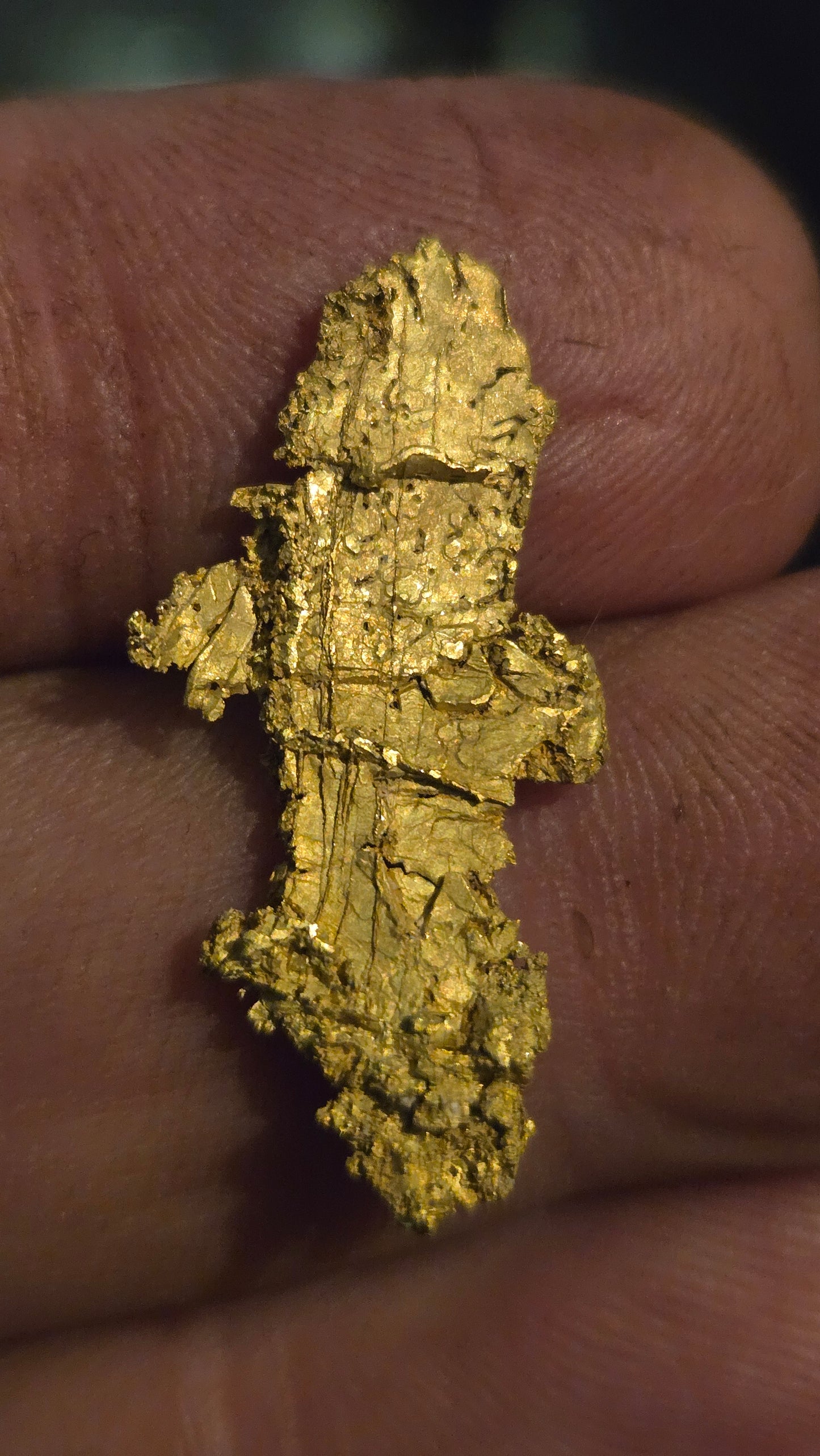 Museum-Quality Calaveras Crystalline Leaf Gold - 2.88 Gram Specimen