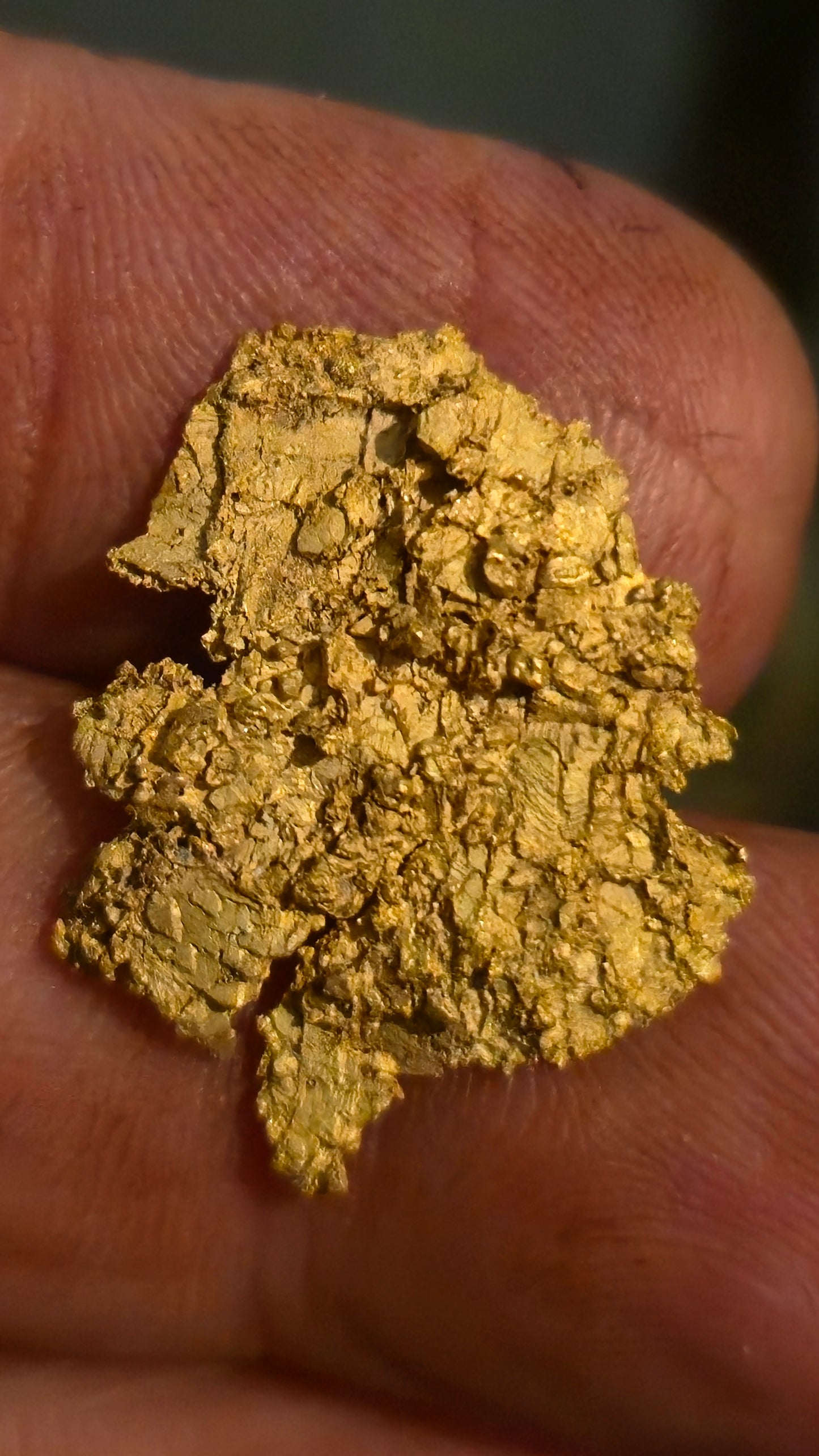 Museum-Quality Calaveras Crystalline Leaf Gold - 4.00 Gram Specimen