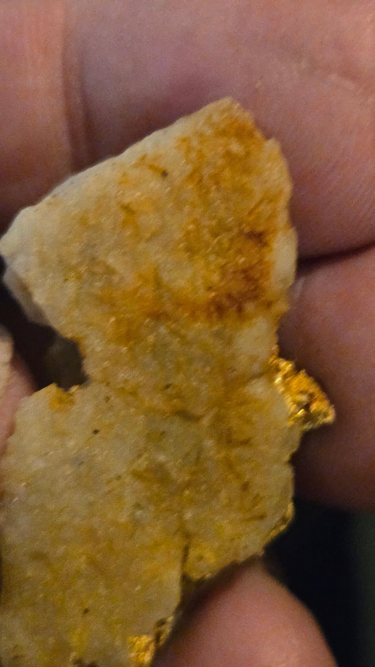 Self collected 16.61 grams gold and quartz from Californias Motherlode Vein