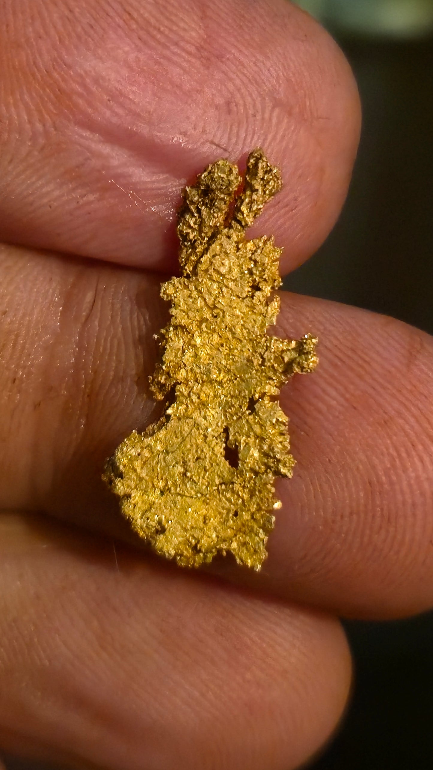 Museum-Quality Calaveras Crystalline Leaf Gold - 1.80 Gram Specimen