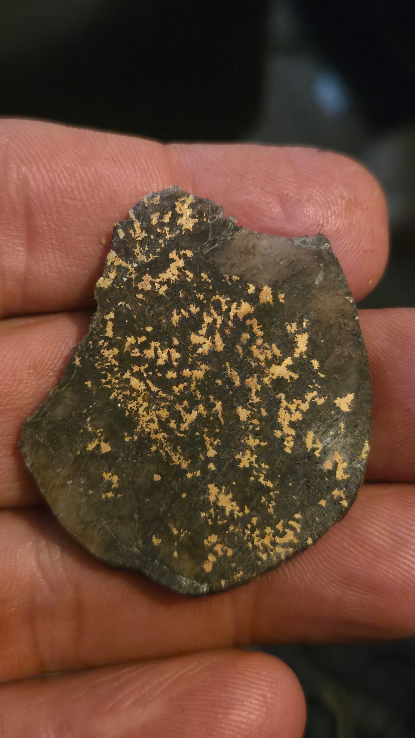 Oregon Gold-in-Quartz Slab - Chemically Enhanced Black Matrix 11.77 grams