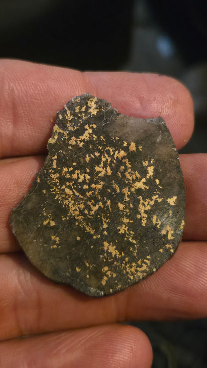 Oregon Gold-in-Quartz Slab - Chemically Enhanced Black Matrix 11.77 grams