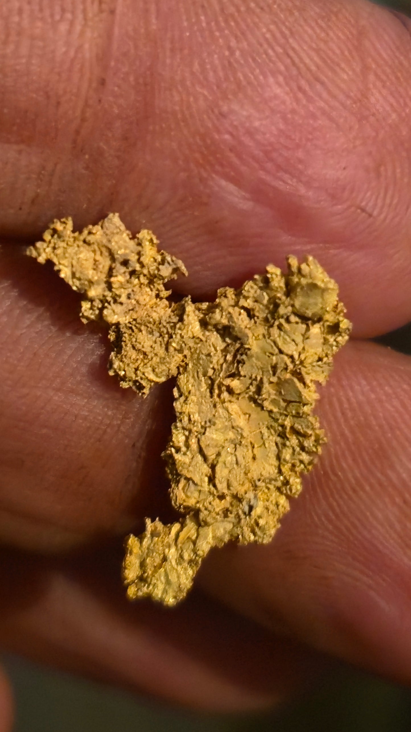 Museum-Quality Calaveras Crystalline Leaf Gold - 2.29 Gram Specimen