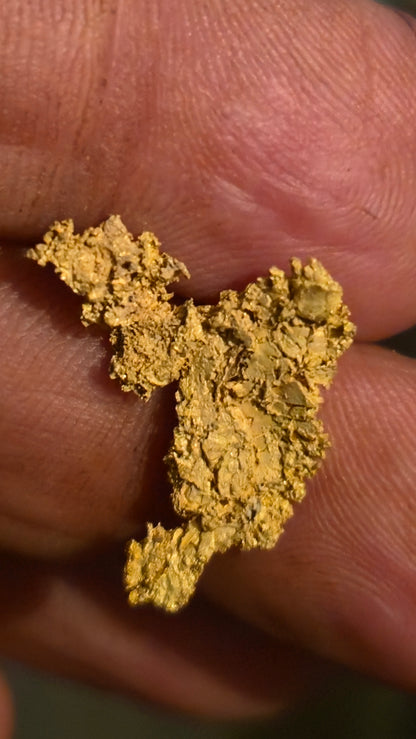 Museum-Quality Calaveras Crystalline Leaf Gold - 2.29 Gram Specimen