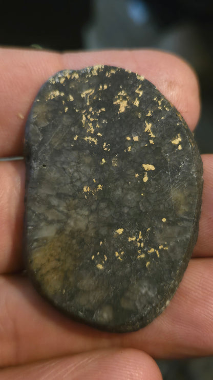 Oregon Gold-in-Quartz Slab - Chemically Enhanced Black Matrix 15.77 grams