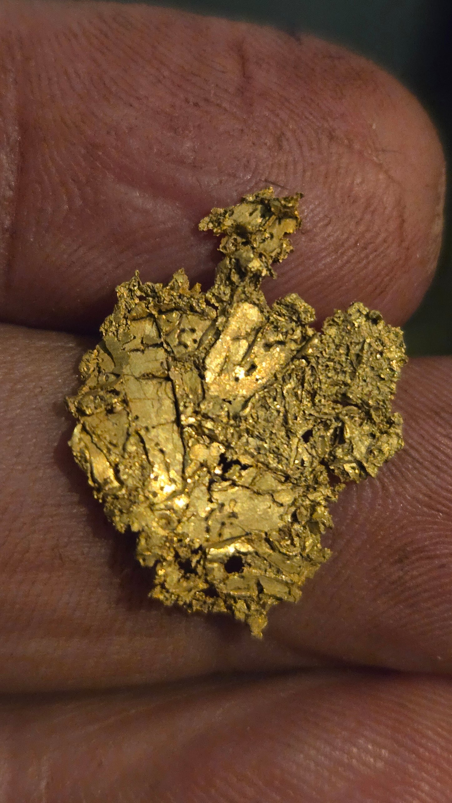 Museum-Quality Calaveras Crystalline Leaf Gold - 2.16 Gram Specimen