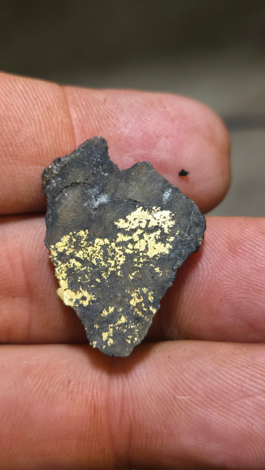 Black quartz and gold slab - 4.48 grams - 5.05 mm - end cut