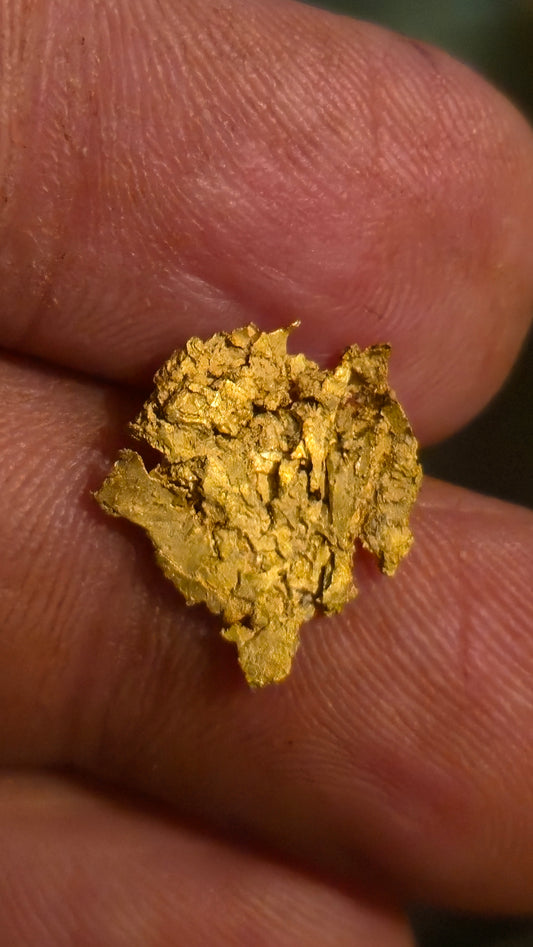 Museum-Quality Calaveras Crystalline Leaf Gold - 1.24 Gram Specimen