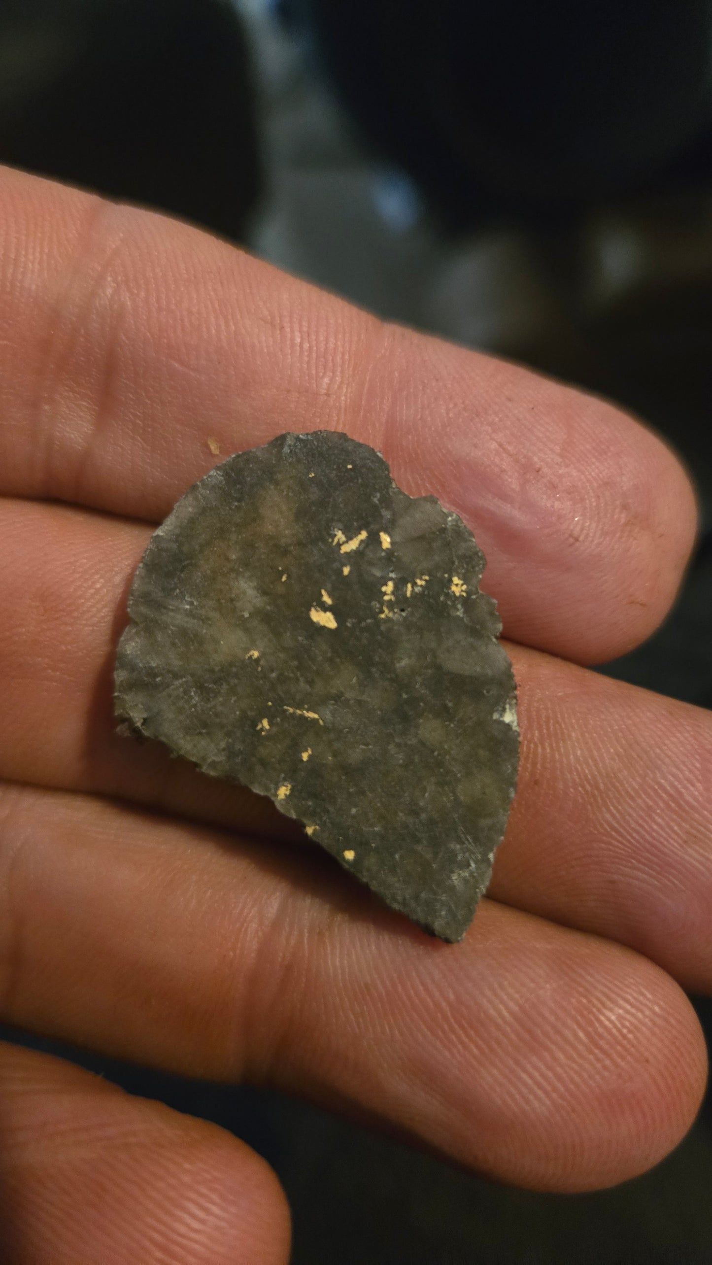 Oregon Gold-in-Quartz Slab - Chemically Enhanced Black Matrix 3.96 grams