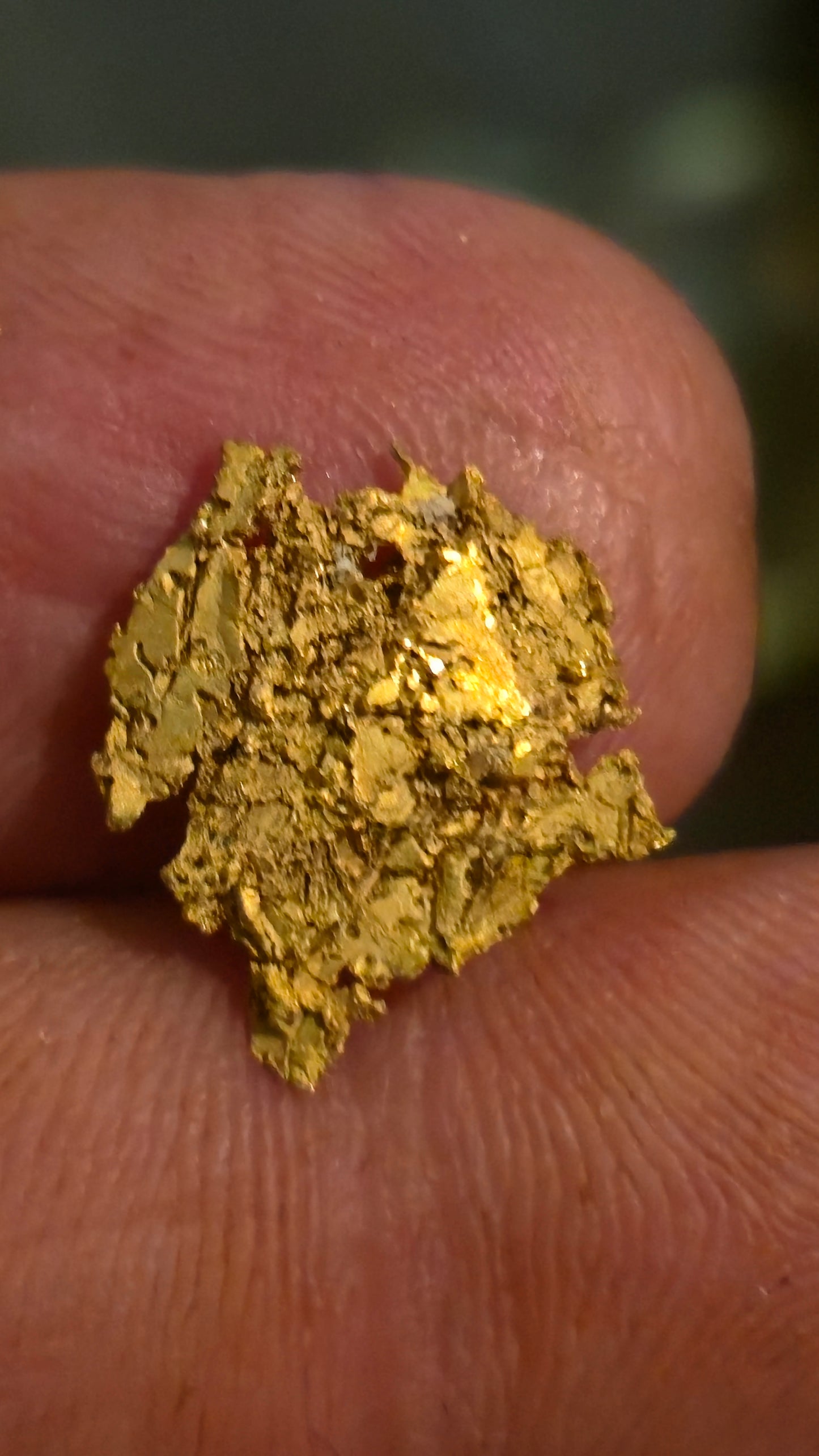 Museum-Quality Calaveras Crystalline Leaf Gold - 1.24 Gram Specimen