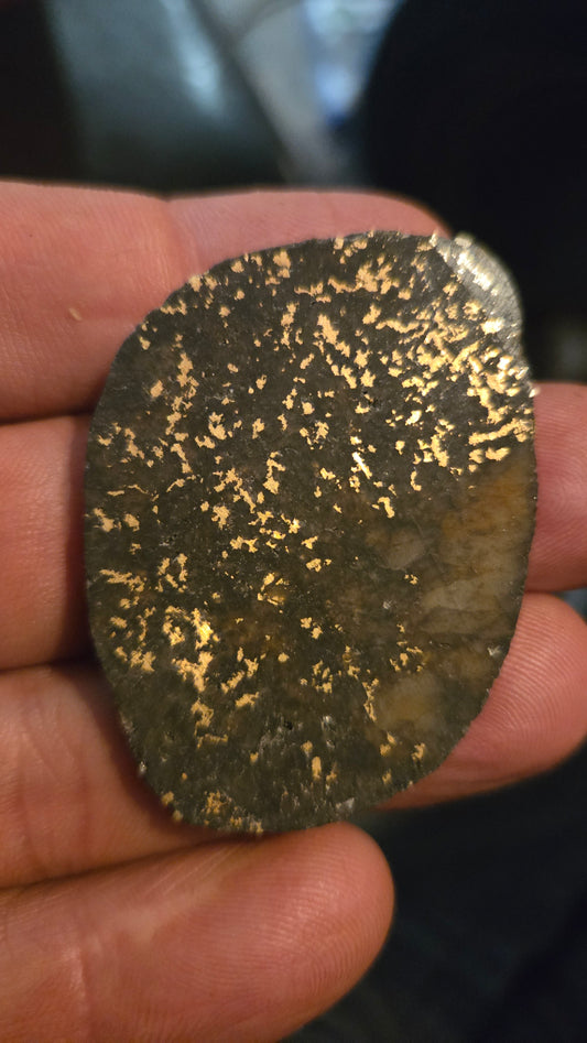 Oregon Gold-in-Quartz Slab - Chemically Enhanced Black Matrix 17.45 grams