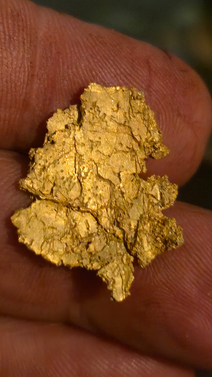 Museum-Quality Calaveras Crystalline Leaf Gold - 4.00 Gram Specimen