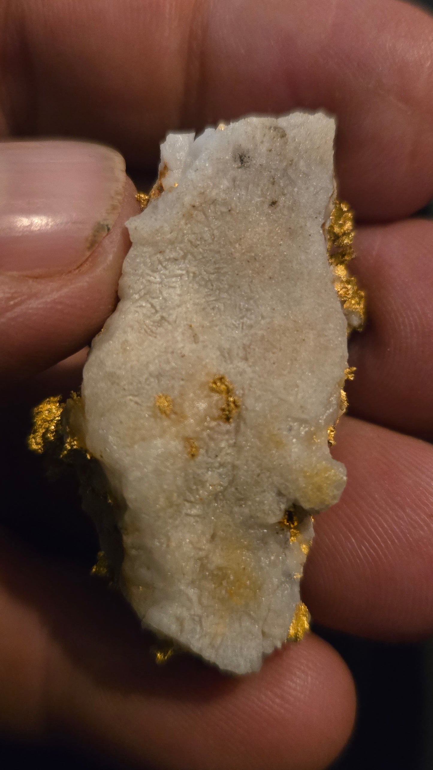 Self collected 29.30 grams gold and quartz from Californias Motherlode Vein