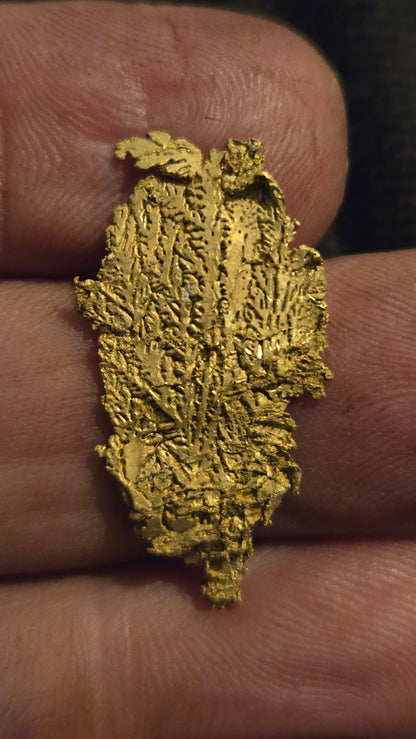 Museum-Quality Calaveras Crystalline Leaf Gold - 2.75 Gram Specimen