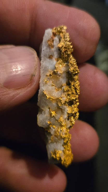 Self collected 29.30 grams gold and quartz from Californias Motherlode Vein