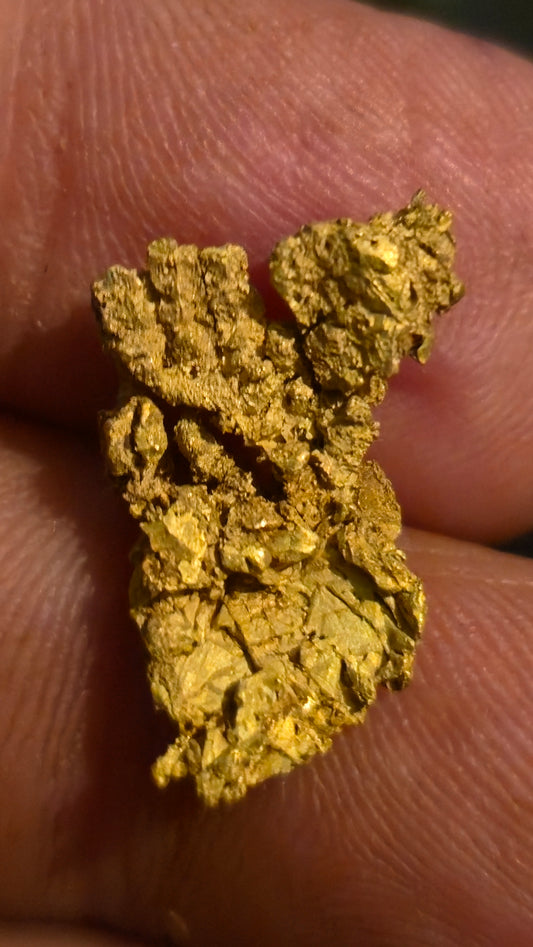 Museum-Quality Calaveras Crystalline Leaf Gold - 3.43 Gram Specimen