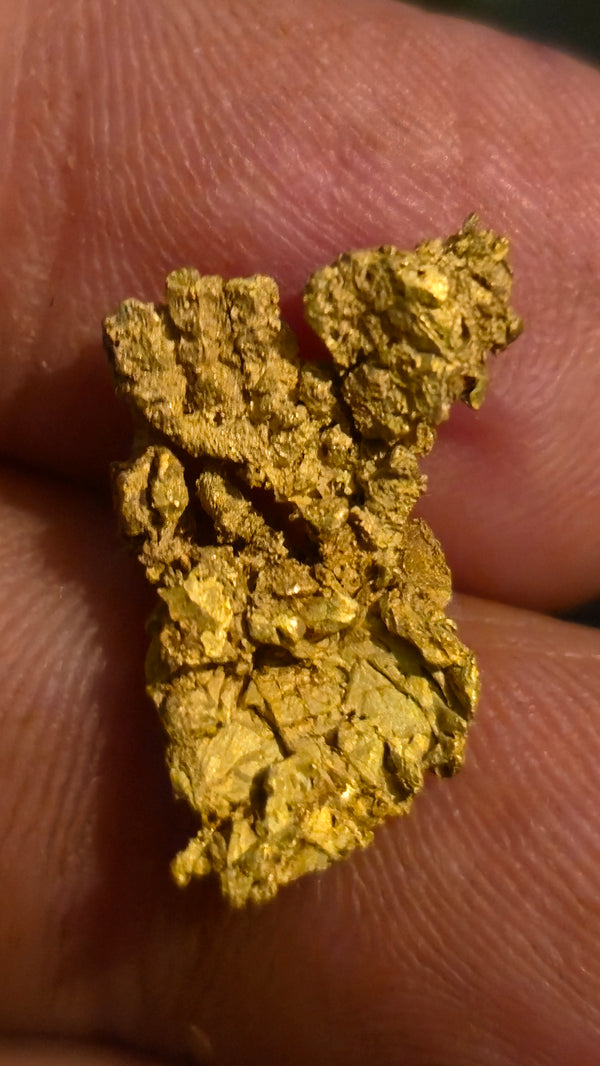 Museum-Quality Calaveras Crystalline Leaf Gold - 3.43 Gram Specimen