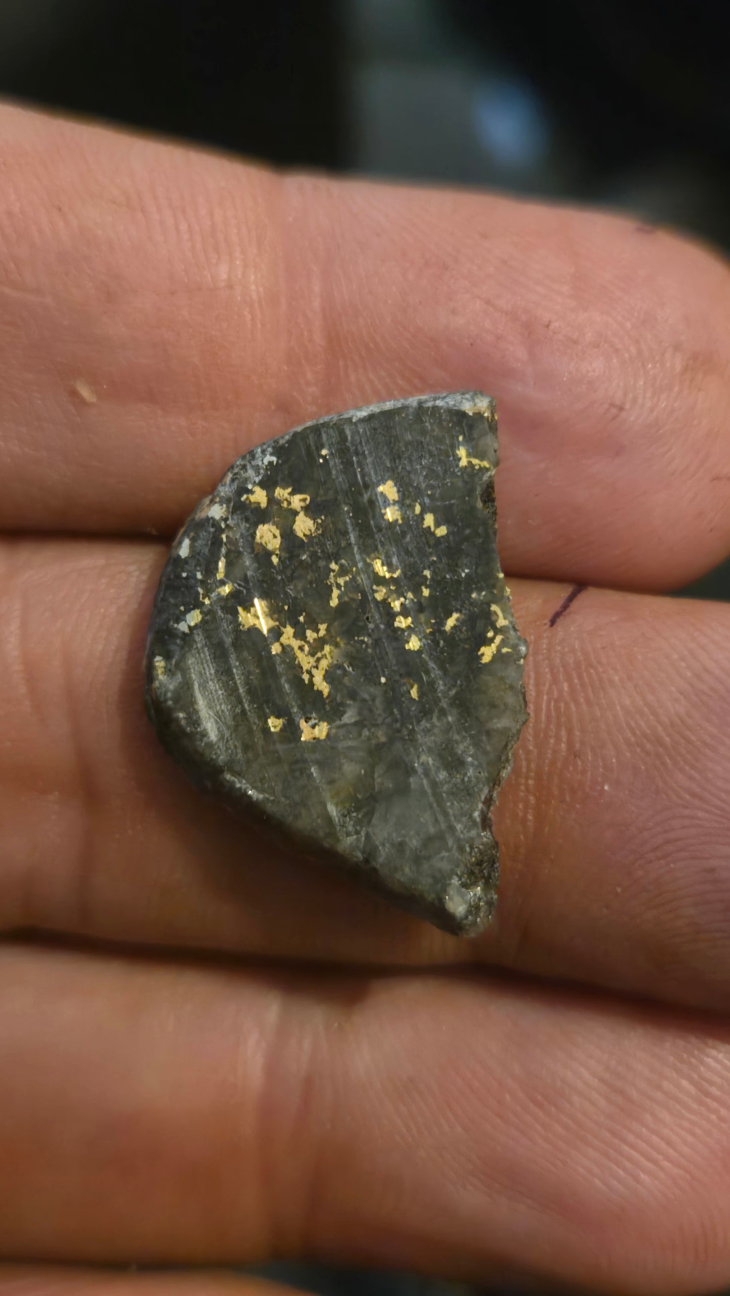 Oregon Gold-in-Quartz Slab - Chemically Enhanced Black Matrix 2.78 grams