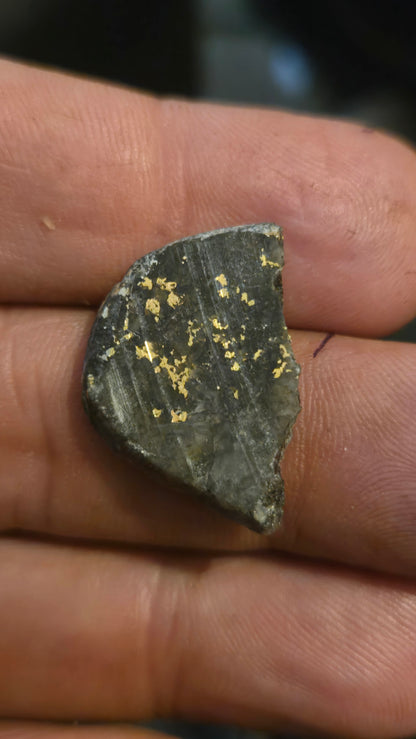 Oregon Gold-in-Quartz Slab - Chemically Enhanced Black Matrix 2.78 grams