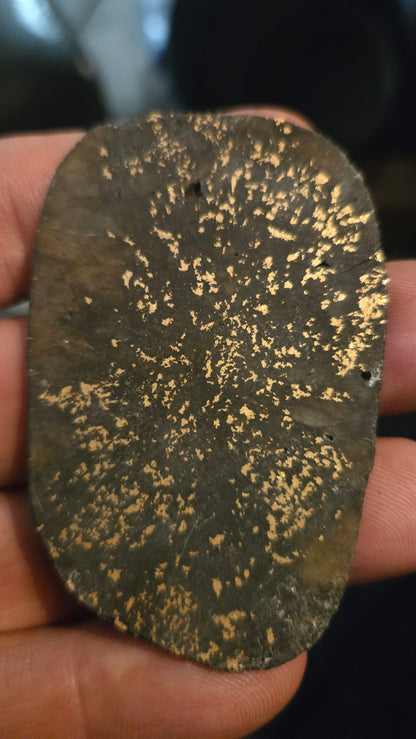 Oregon Gold-in-Quartz Slab - Chemically Enhanced Black Matrix 21.21 grams