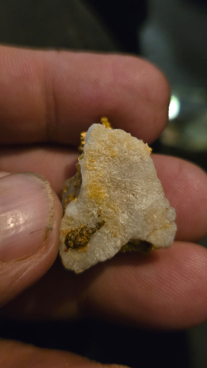 Self collected 13.65 grams gold and quartz from Californias Motherlode Vein