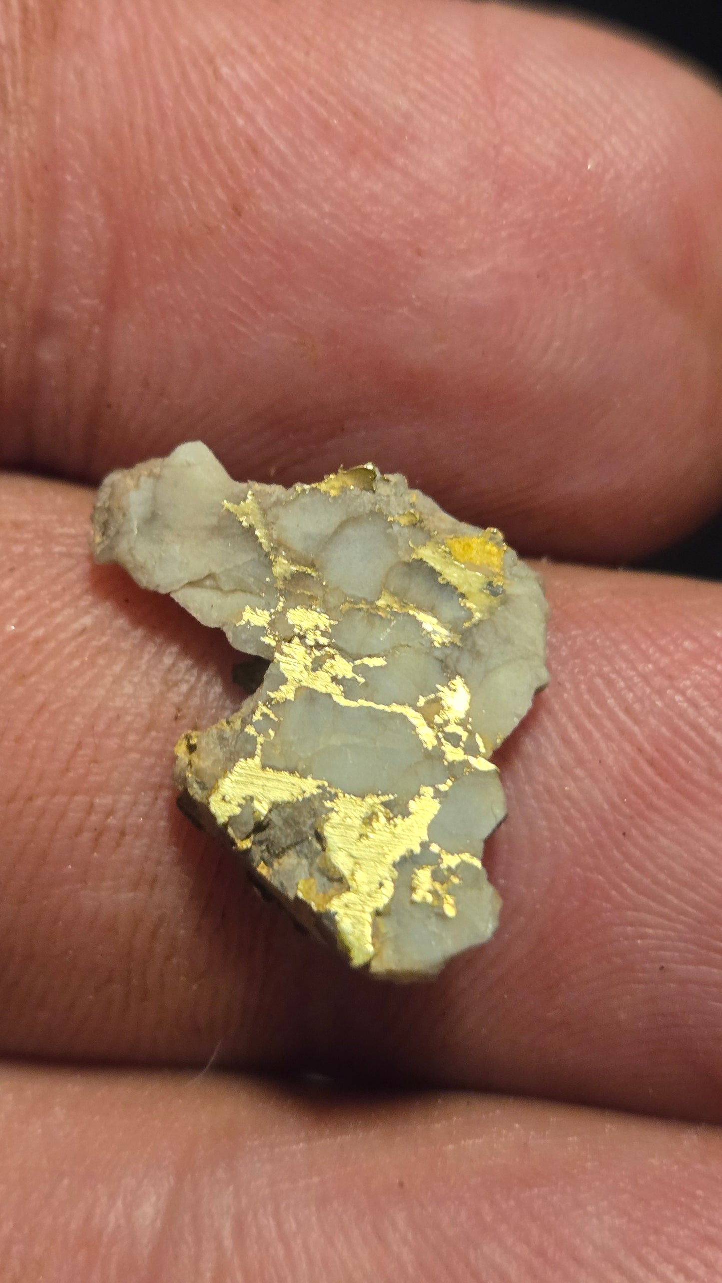 White quartz and gold slab - 1.74 grams - 2.66 mm - Mexico