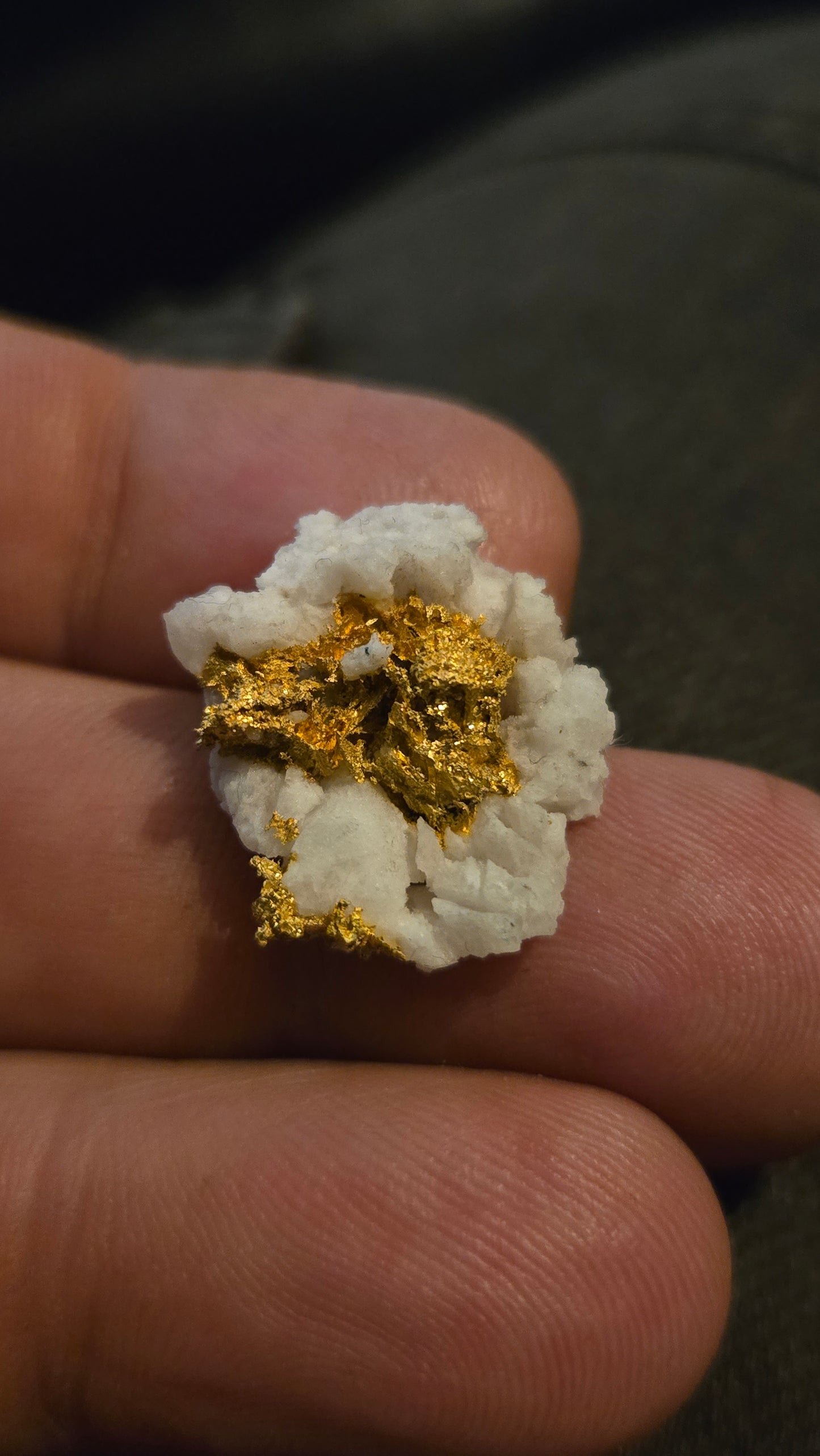 Self collected 4.71 grams gold and quartz from Californias Motherlode Vein